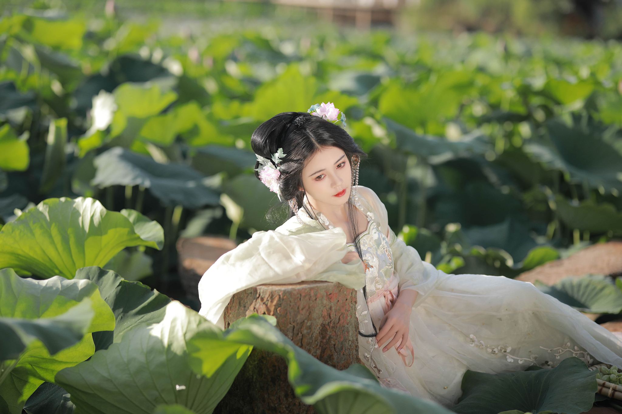 Dongtai Trip Moments[Huanghai-Waldpark / Anfeng Altstadt Übersetzung Fotograf Begleitung Fotoshooting Begleitfotografie Luftaufnahmen Hochzeitsfotos Porträtfotografie]