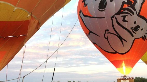 Gold Coast: Hot Air Balloon Experience + Drink