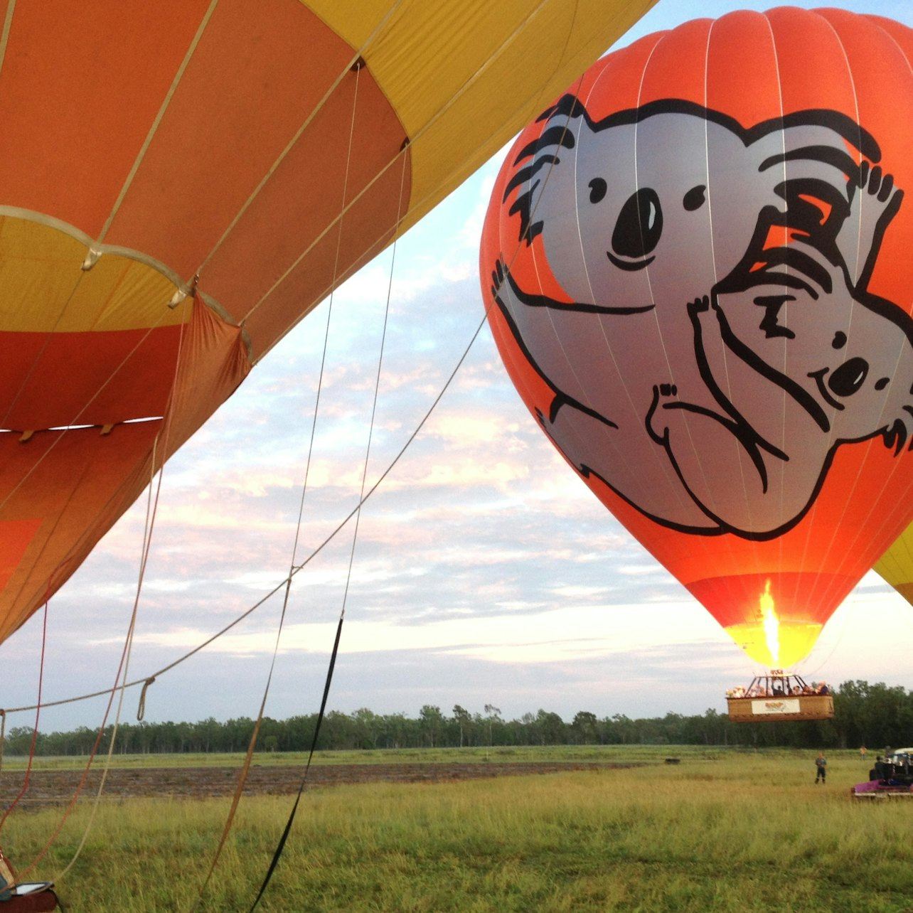 Gold Coast: Heißluftballon-Erlebnis + Getränk