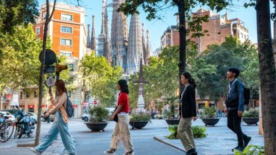 Half-day tour to Sagrada Familia in Barcelona, Spain|Includes admission ticket reservation|Bilingual guide in Chinese and English|Optional Tower Climb