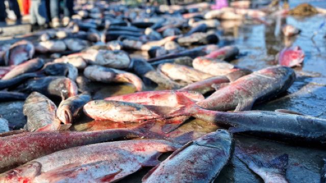 赴查干湖之約，看冰湖出魚，品冬日至鮮！5座/7座可選暖車遊