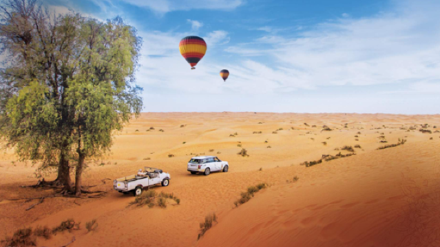 Dubai Desert Conservation Reserve Hot Air Balloon Ride (Falcon Photo Opportunity, Dune Bashing, VAT Riding Experience)