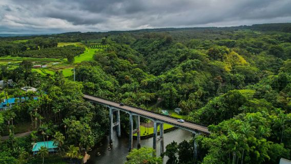 สั่งซื้อหลังการปรึกษา/บริการรถส่วนตัวสำหรับการท่องเที่ยวในสหรัฐอเมริกา เกาะโออาฮู เกาะใหญ่ (ฮาวาย) โฮโนลูลู เกาะเมาอี ชายหาดไวกิกิ/สนามบิน/บริการรถรับส่งจุดต่อจุด/ไกด์นำเที่ยว/บริการรถเช่า