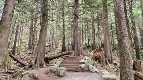 加拿大 溫哥華周邊徒步一日遊（可定制周邊遊）飯店接駁