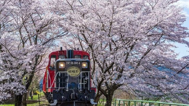Lawatan separuh hari ke Kyoto dengan pelayaran Sungai Hozu dan kereta api romantik Sagano ke Arashiyama