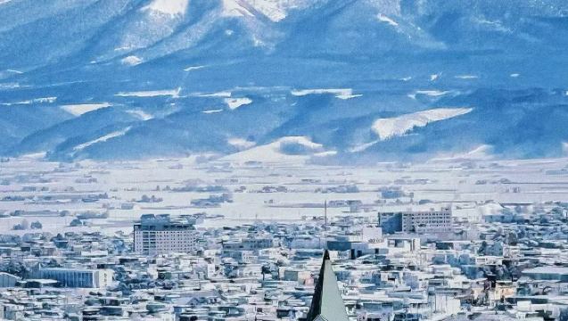 新千歲-富良野/旭川/美瑛接機/送機單程包車服務【中文包車】