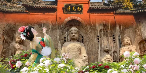 【15人精品小團】神州牡丹園+龍門石窟+白馬寺 精品一日遊