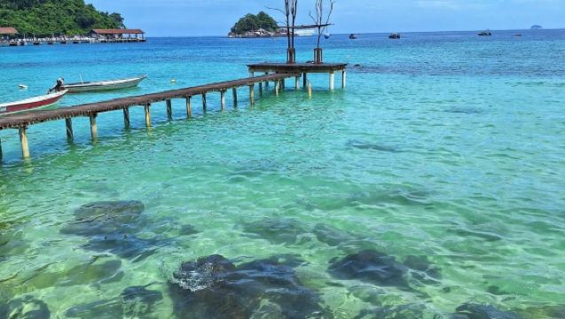 Ferries from Mersing to Tioman Island, Tioman Island to Mersing, and Tanjung Leman to Tioman Island, with one-way/round-trip options available. Multiple departure time slots and piers to choose from.