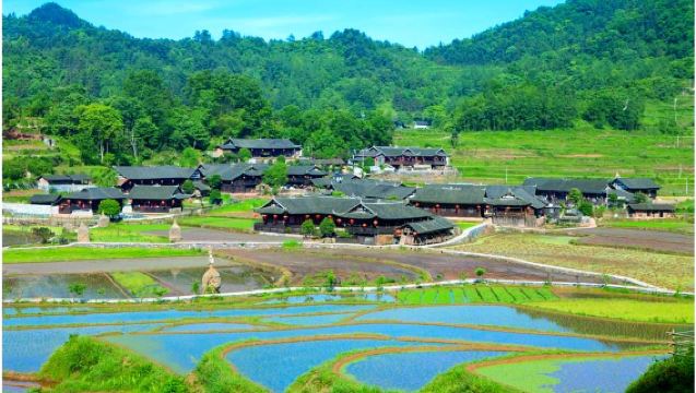 Tur Harian Zhangjiajie: Shiyanpingcun + Taman Budaya Rakyat Tujia (Layanan Transfer Pribadi)