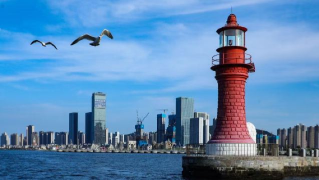 다롄 도시의 추억 2-6인 프라이빗 투어 - 싱하이 광장(성해 광장), 동항, 어인 부두 당일 치기 여행