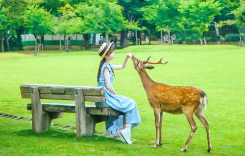 京都嵐山+奈良公園餵鹿+伏見稻荷大社一日遊