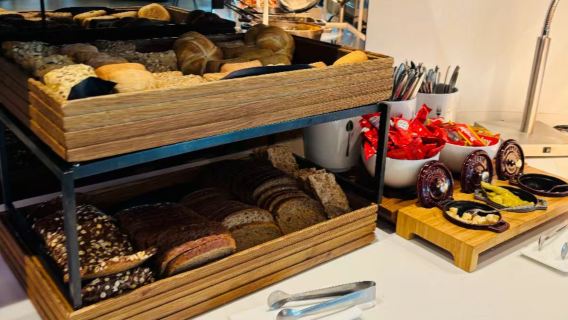 Lounge pass at FRA Frankfurt Airport in Germany [VIP private quiet zone + international departure + comfortable transfer overnight VIP experience + tranquil transfer rest room] T