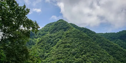 婁山關景區+烏江寨一日遊【上門接送-無購物】