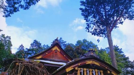 日本大阪來回鳥取-柯南小鎮-白兔神社-砂之美術館-中文私享行