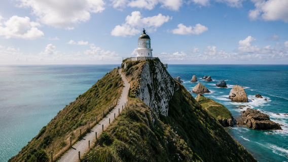 Te Anau to Dunedin one-way 1-day tour | The Catlins + Nugget Point Lighthouse | small group of 16