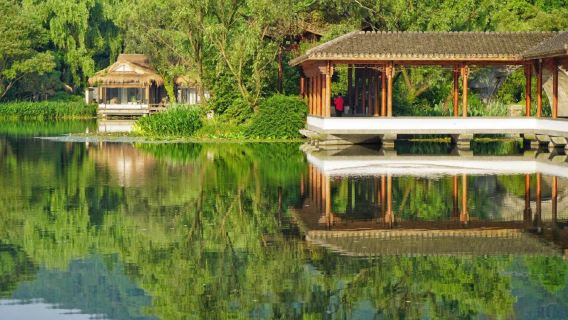 Hangzhou - Excursión de medio día en barco de remos privado por el Lago Oeste [Paseo en barca por lugares secretos + concierto de guzheng + degustación de té Longjing]