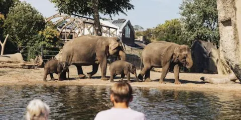 阿提斯皇家動物園入場門票