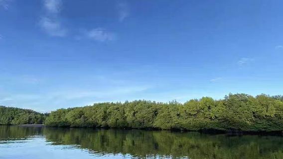 ทัวร์วันเดียว/ทัวร์หลายวัน ป่าชายเลน Semporna ในมาเลเซีย