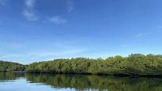 TawauTours