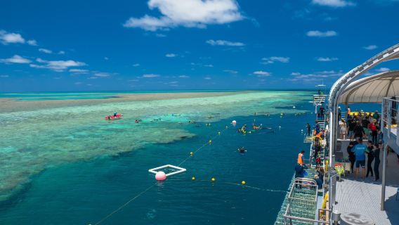 Australia Airlie Beach Heart Reef + Hardy Reef Harbor + Hamilton Island one-day tour