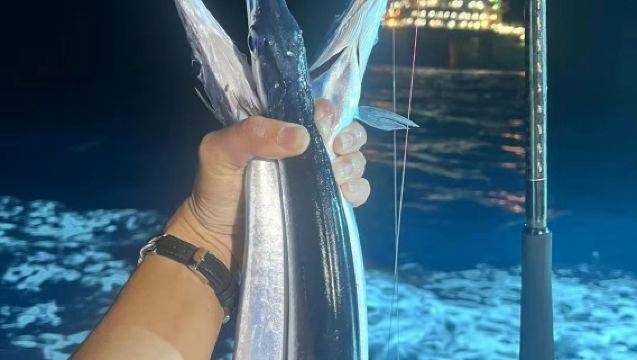 萬寧海釣1日遊【包含船長+海釣杆+魚餌】