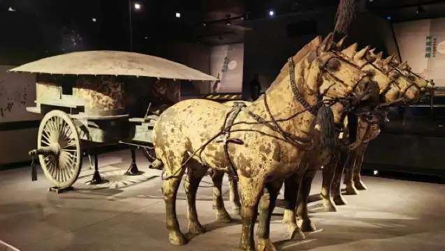 西安秦始皇帝陵博物館（兵馬俑）一日遊【2-7人團】專車·專導