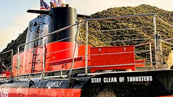 Catalina Island: Day Trip with Undersea Sub Expedition