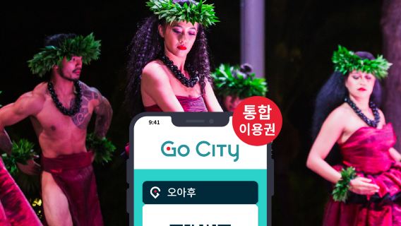 Go City: 오아후 통합 입장권