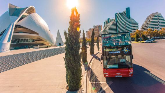 Valencia: 48-Hr Hop-on Hop-off Bus with Albufera Line + Boat Tour