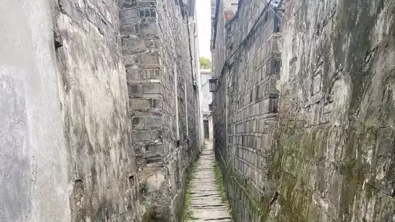 水鄉同里包團一日遊（遊船+退思園+珍珠塔+穿心弄）