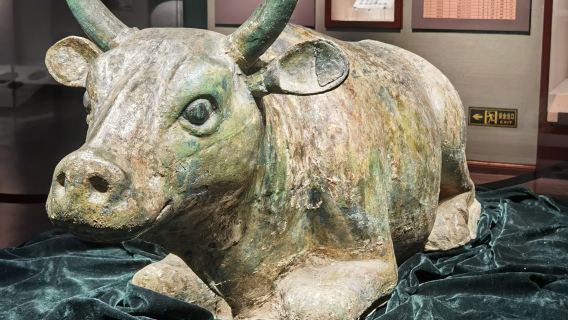 Ningxia Museum + Helan Mountain Rock Painting + private customization / multilingual guides / private charter