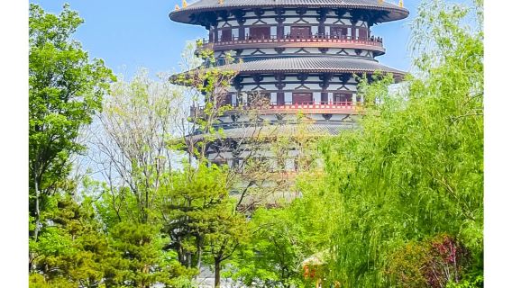 È disponibile tour di un giorno Museo di Luoyang, del Parco delle Rovine, della Sala del Paradiso, dello Stagno di Jiuzhou e del Tempio del Cavallo Bianco, con servizio in inglese.