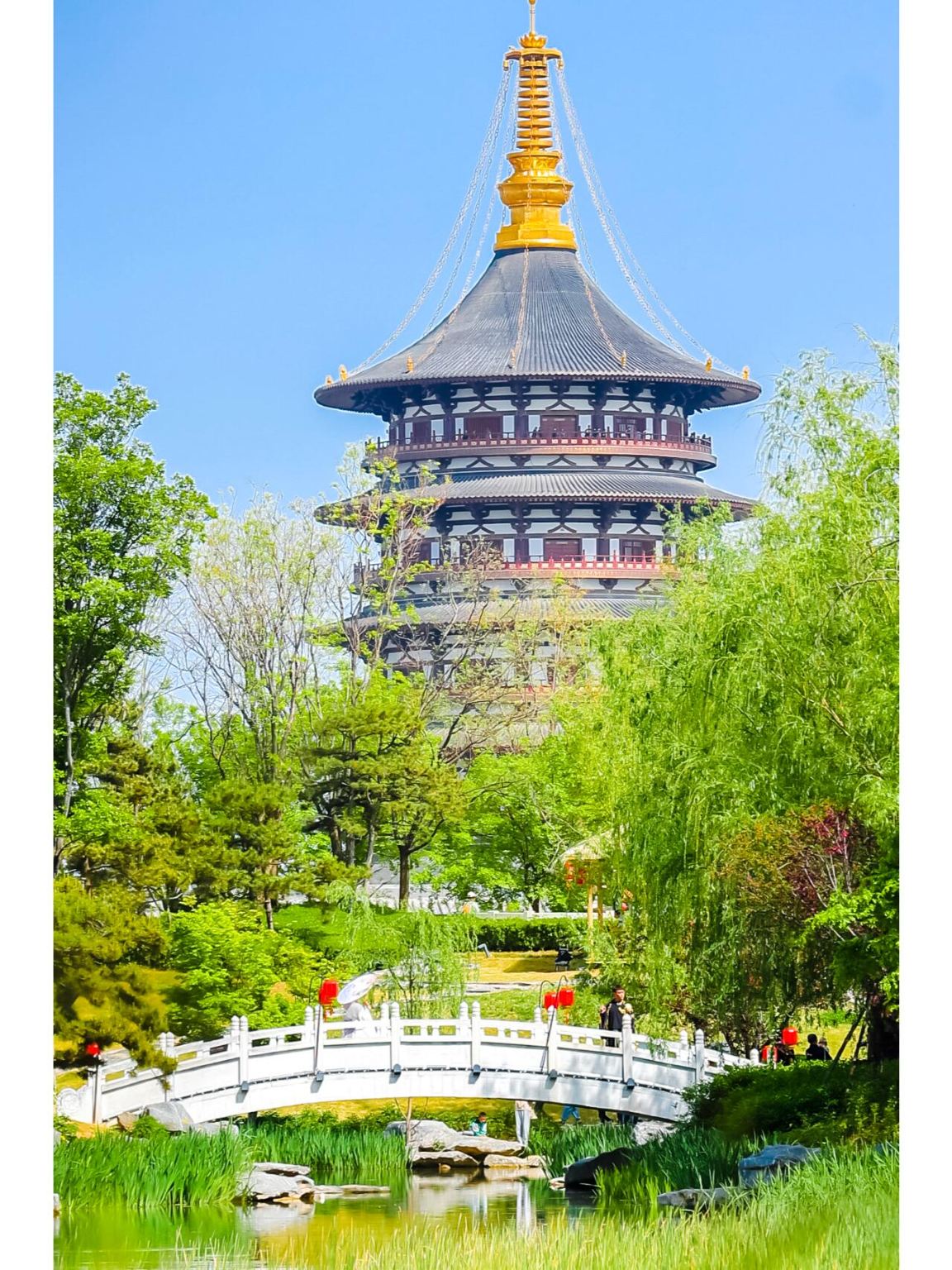 1-day tour to Luoyang Museum + Site Park Heaven Hall + Jiuzhou Pool + White Horse Temple with English service available