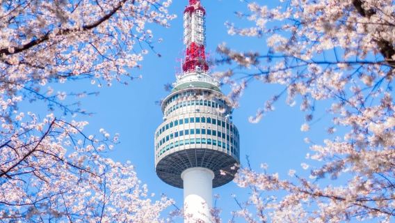 青瓦台+景福宮+清溪川+首爾塔（酒店接送/普通話司機）