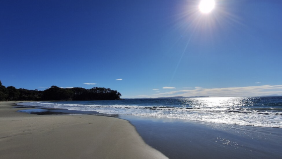 Bruny Island one-day tour with Cruise | Explore the Rich Flora and Fauna from Hobart