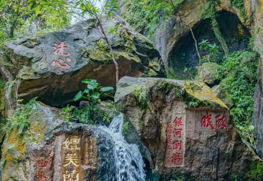 Foshan Xiqiao Mountain Scenic Area + Qinghui Garden Museum + Xishan Temple Private Charter Day Tour with Chinese and English Services