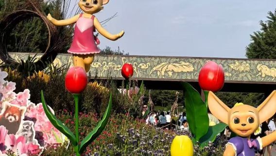 Beijing Wildlife Park: Exklusive, mehrsprachige Touren & keine Fahrgemeinschaft erforderlich