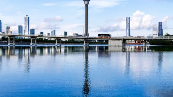 Macau Venetian + Rua Do Cunha + Macau Tower [10-hour private charter - customizable itinerary]