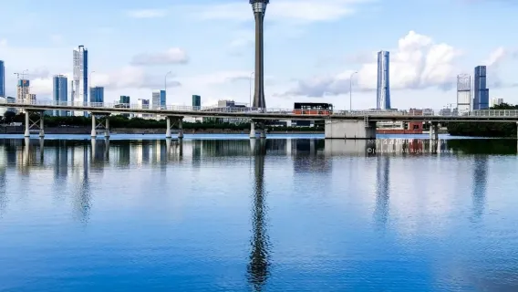 Macau Venetian + Rua Do Cunha + Macau Tower [10-hour private charter - customizable itinerary]