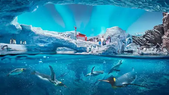 從杜拜出發：阿布達比謝赫扎耶德大清真寺+海洋世界一日遊