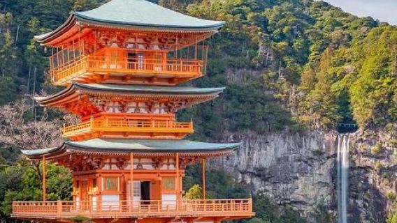 日本大阪+和歌山+白濱柯南同款一日遊/行程可調-可訂製多日