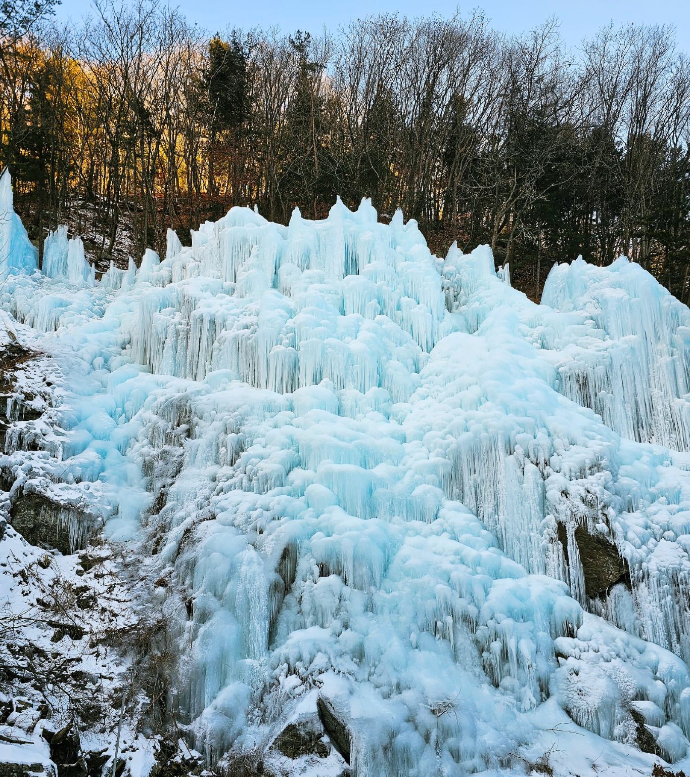 Winter Limited|Fish Fly Valley Glacier, Freshly Picked Strawberries, Nami Island, and the Garden of Morning Calm Night Light Festival