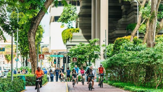 Singapore: tour in bicicletta dei punti salienti della Città del Leone