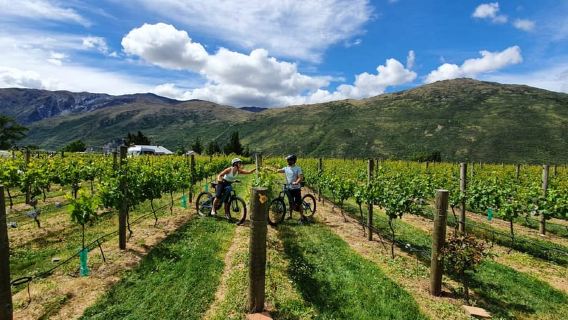 Queenstown: tour guidato in e-bike con visite alle cantine e degustazioni