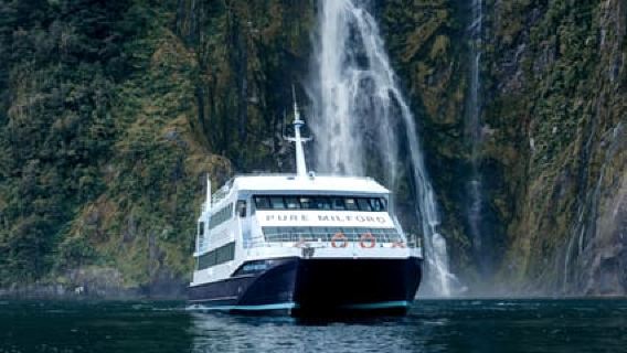 Milford Sound: Crucero por cascadas, vida silvestre y selva tropical