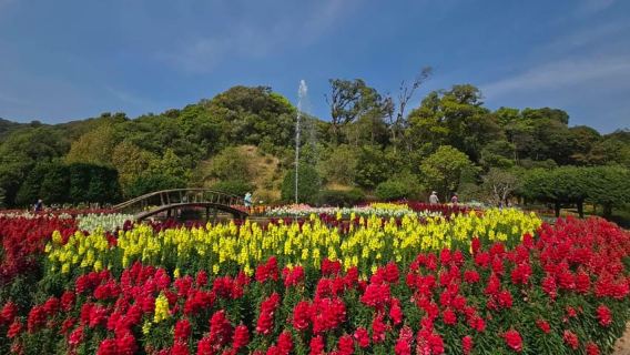 Chang Mai: Excursión de un día a Doi Inthanon con cascadas y tribus de las colinas