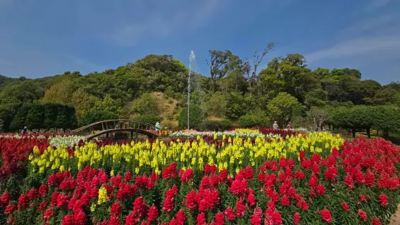 Quick Escape: Chang Mai: Doi Inthanon Day Tour w/Waterfalls & Hilltribes
