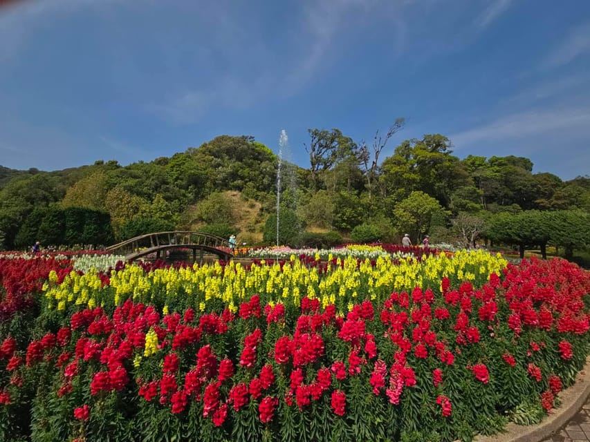 チェンマイ：ドイ・インタノン滝と山岳民族を巡る日帰りツアー