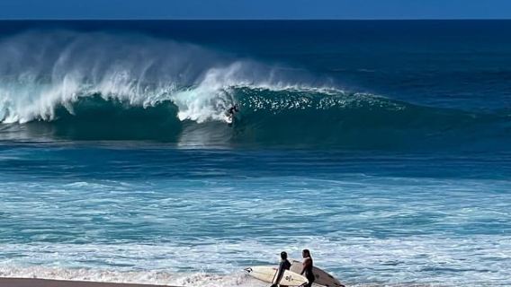Oahu: tour completo dell'isola con nuoto nelle cascate tropicali