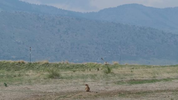 Red Rocks and Dinosaur Ridge on E-Bike Tour